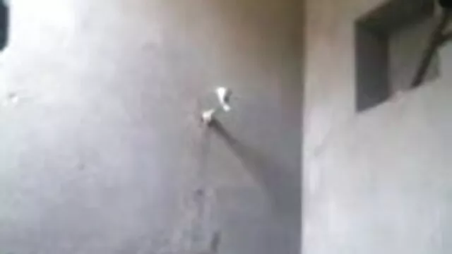 सुनहरे बालों वाली देसी सेक्सी एचडी मूवी श्यामला छूत लेस्बियन चाटो