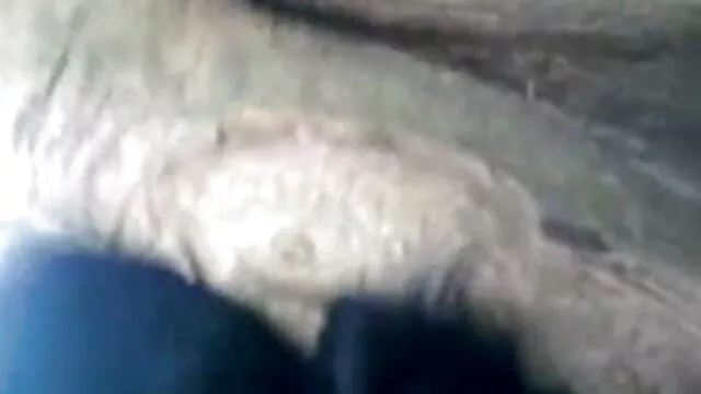सबसे अच्छा वह पुरुष सेक्स वीडियो फिल्म फुल मूवी कभी डाल पर एक शो