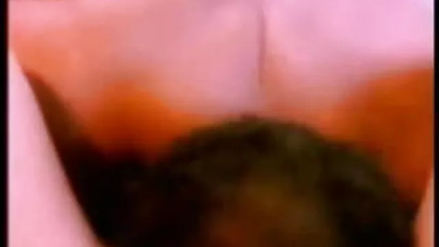 जापानी शहद कीटो पीटा सेक्सी मूवी अमेरिकन जाता है