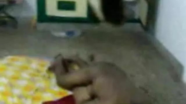 जीत के इंग्लिश मूवी सेक्सी फिल्म लिए टैटू लड़कियां