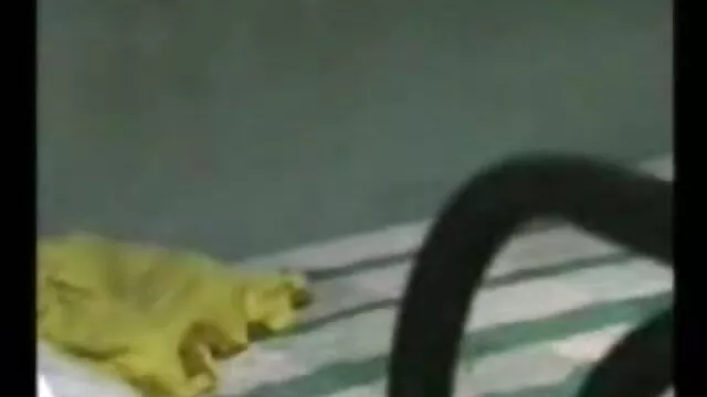 निकोल प्यार के साथ भिगोने और सेक्सी मूवी नंगी नंगी