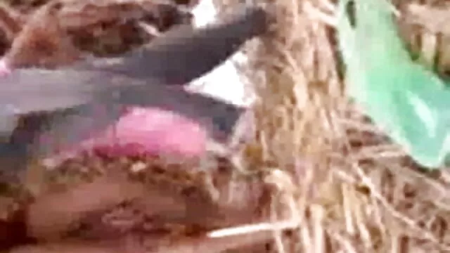 अविश्वसनीय रूप से सेक्सी गोरा दिखा बंद उसके शरीर सेक्सी मूवी वीडियो देसी