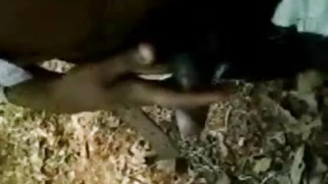 ट्रांसरोटिका चिनेसे सेक्सी मूवी चूसा से पहले कमबख्त टीएस