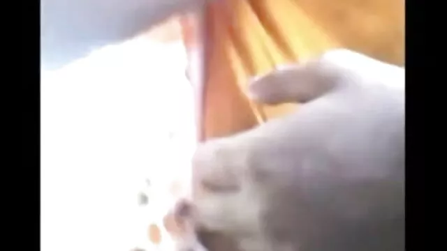 और लेस्बियन प्रेमिका Pillowfight सेक्स पिक्चर मूवी सेक्स के तहत Xm