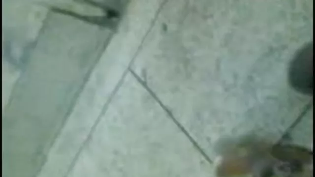 बड़े लड़कों-प्यारे एक प्रकार सेक्सी मूवी बीपी का जानवर बड़ा लड़का एक सींग का बना हुआ जॉक
