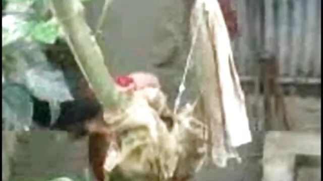 ट्रांसरोटिका ट्रांस बिहारी सेक्स मूवी एमआईएलए कमबख्त के बाद सह है