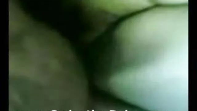 सींग का बना हुआ शावक लोगान लड़की दो काले भालू द्वारा गड़बड़ हिंदी फिल्म सेक्स फुल