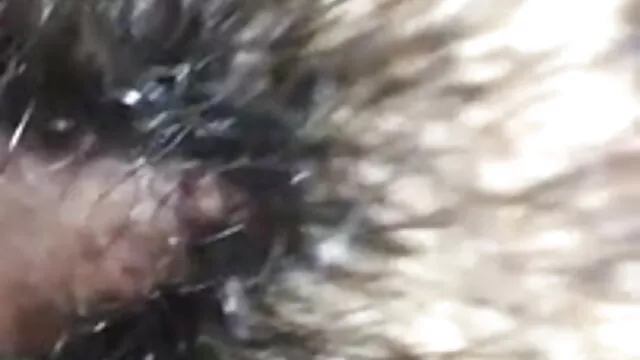 जापानी स्तन वॉल्यूम सेक्सी मूवी एचडी की 7 पर नेट