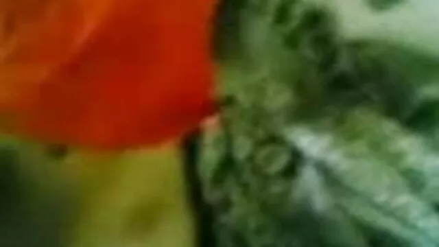 Muscled लिंग समय सेक्सी ब्लू फिल्म फुल मूवी