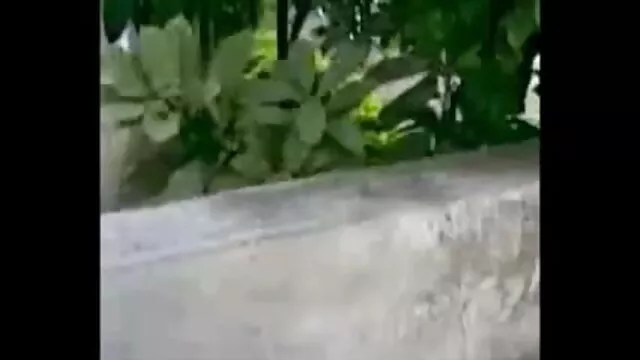 बेवकूफ छोटे सेक्सी मूवी दिखाओ सेक्सी मूवी बाल बेब उसे खिलौने चूसने