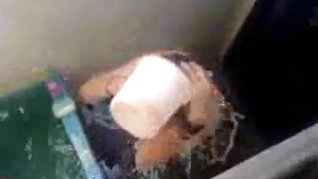 सोलो, सुडौल बेब, लिलियन स्टोन 4कश्मीर में, बिल्ली मूवी एचडी सेक्सी फिल्म की मालिश